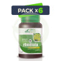 Pack 6x Rhodiola MGdose