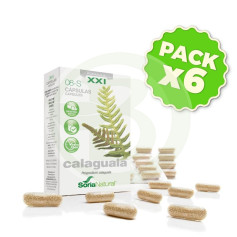 Pack 6x Calaguala 8S Fórmula XXI Soria Natural