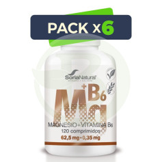 Pack 6x Magnesio+Vit. B6 1550Mgrs. X 120 Liberacion Sostenida Soria Natural