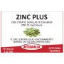 Zinc Plus 60 Cápsulas Integralia