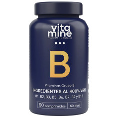 Vitaminas Grupo B 500Mg 60 Comprimidos Herbora