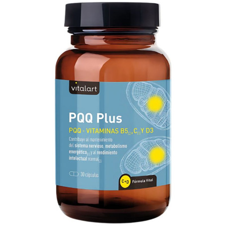 Pqq Plus 30 Cápsulas Vitalart