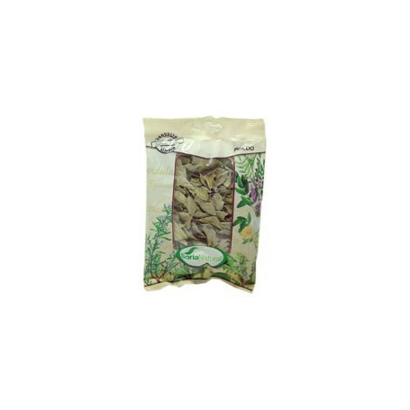 Boldo Bolsa 40Gr. Soria Natural