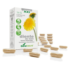 Diente de León Fórmula XXI Soria Natural