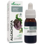 Extracto De Alcachofa Formula Xxi 50Ml. Soria Natural