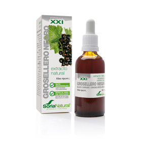 Extracto De Grosellero Negro Formula Xxi 50Ml. Soria Natural
