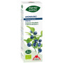Phyto-Biopole Arandano Bio 50Ml. Intersa