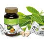 Garcivit 70 Capsulas Vital 2000