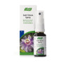Spray Anti Stress 10 Ml.