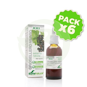 Pack 6x Extracto de Grosellero Negro Fórmula XXI 50Ml. Soria Natural