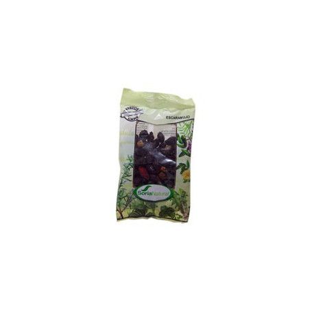Escaramujo Bolsa 100Gr. Soria Natural