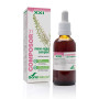 Composor 31 Meno Regul Complex 50Ml. Soria Natural