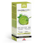 Chlorelpure Metal Detox 500Ml. Intersa