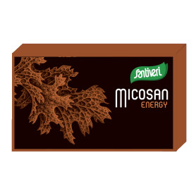 Micosan Energy 40 Capsulas Santiveri