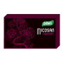 Micosan Fibroart 40 Capsulas Santiveri