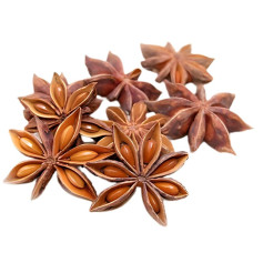 Anis Estrellado 100G Diplan