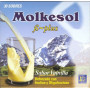 Molkesol Vainilla Enzimatico con Estevia 30 Sobres Ynsadiet