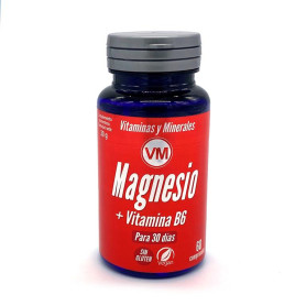 Magnesio + Vitamina B6 Envase De 60 Comprimidos Ynsadiet