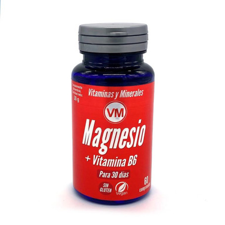 Magnesio + Vitamina B6 Envase De 60 Comprimidos Ynsadiet