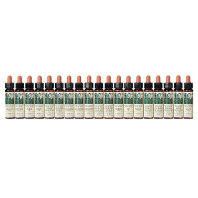 Elixir Floral 35 Castaño De Indias 10Ml. Plantis