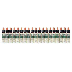 Elixir Floral 3 Beech 10Ml. Plantis