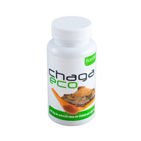 Chaga Eco 45 Capsulas Plantis