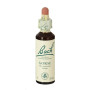 (13) Gorse 20Ml. Bach
