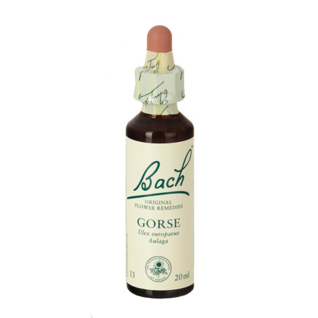 (13) Gorse 20Ml. Bach