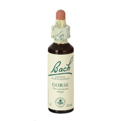 Flores de Bach Gorse (Aulaga) 20Ml. Bach