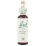 (15) Holly 20Ml. Bach