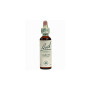 (19) Larch 20Ml. Bach