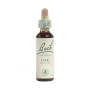 (22) Oak 20Ml. Bach