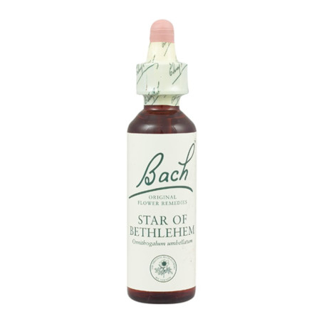 (29) Star Of Bethlehem 20Ml. Bach
