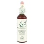 (06) Cherry Plum 20Ml. Bach
