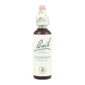 (09) Clematis 20Ml. Bach