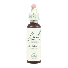 Flores de Bach Clematis (Clemátide) 20Ml. Bach