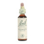 (09) Clematis 20Ml. Bach