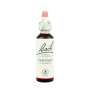 (31) Vervain 20Ml. Bach