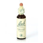 (08) Chicory 20Ml. Bach