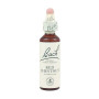 (25) Red Chestnut 20Ml. Bach