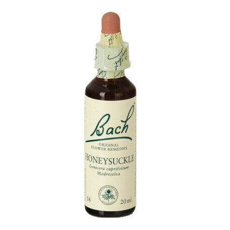 (16) Honeysuckle 20Ml. Bach