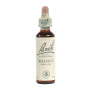 (33) Walnut 20Ml. Bach