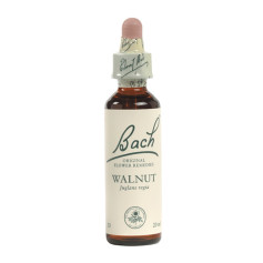 (33) Walnut 20Ml. Bach