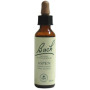 (02) Aspen 20Ml. Bach