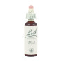(03) Beech 20Ml. Bach