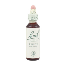 (03) Beech 20Ml. Bach
