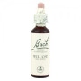 (38) Willow 20Ml. Bach