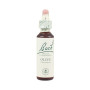 (23) Olive 20Ml. Bach