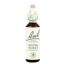 (34) Water Violet 20Ml. Bach