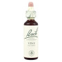 (32) Vine 20Ml. Bach